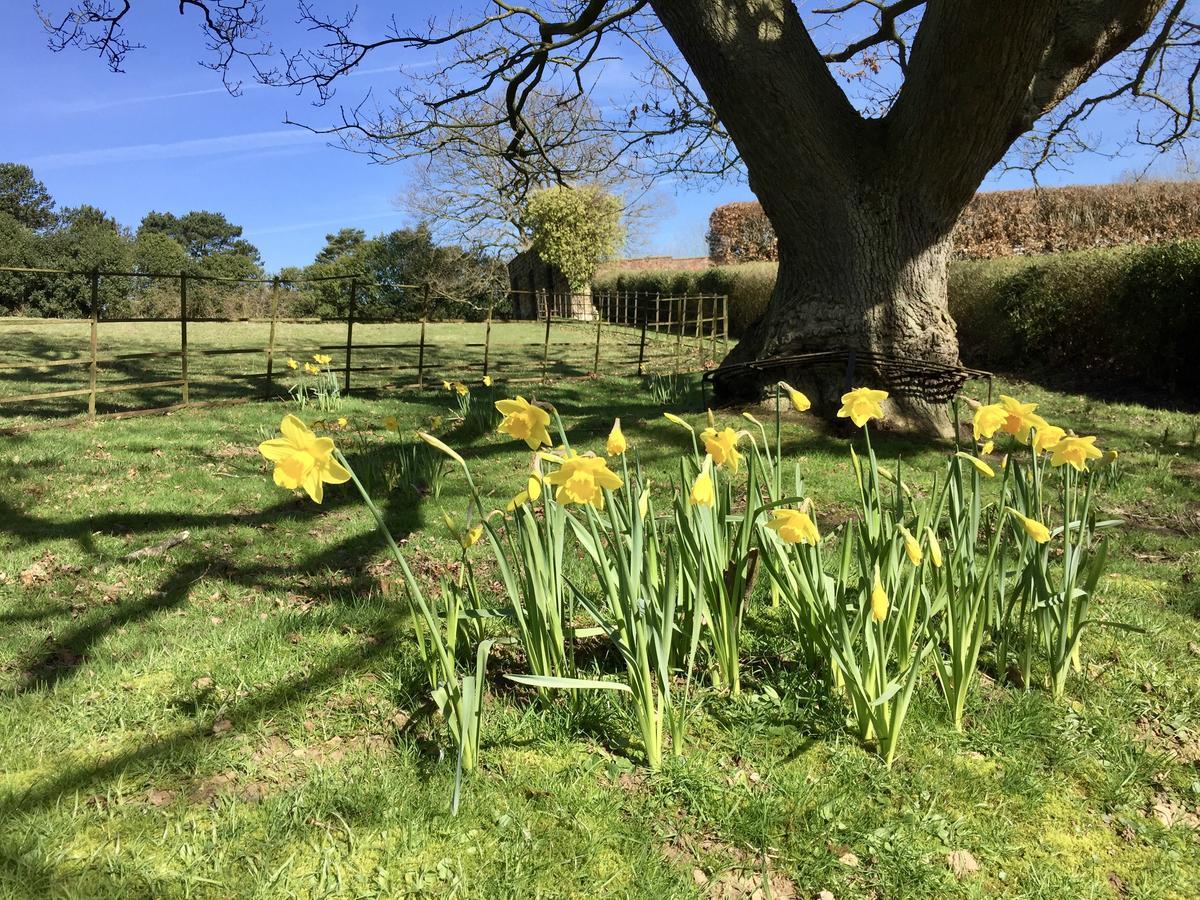 The Wrea Head Hall Country House Hotel & Restaurant Scarborough Luaran gambar