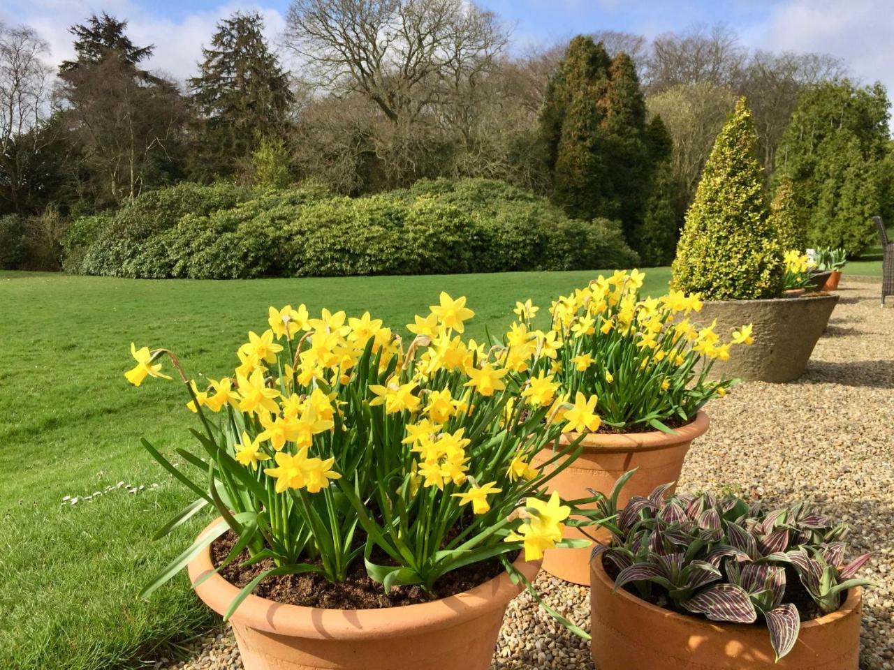 The Wrea Head Hall Country House Hotel & Restaurant Scarborough Luaran gambar